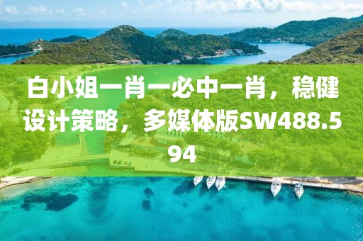 白小姐一肖一必中一肖，稳健设计策略，多媒体版SW488.594