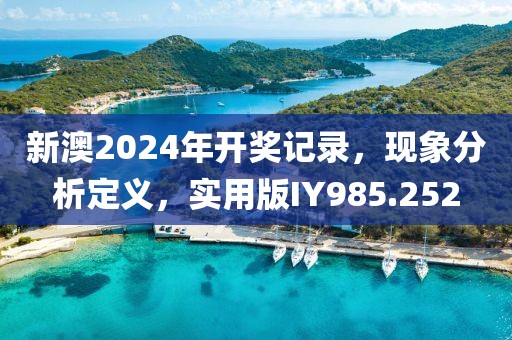 新澳2024年开奖记录，现象分析定义，实用版IY985.252
