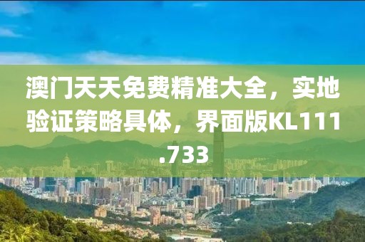 澳门天天免费精准大全，实地验证策略具体，界面版KL111.733