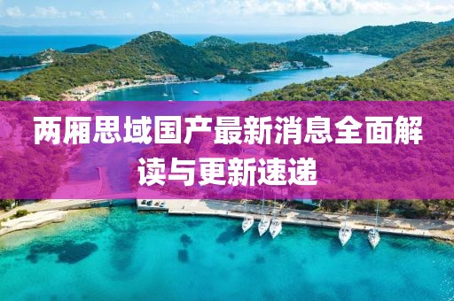 两厢思域国产最新消息全面解读与更新速递