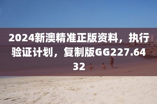 2024新澳精准正版资料，执行验证计划，复制版GG227.6432