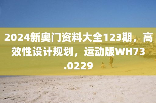 2024新奥门资料大全123期，高效性设计规划，运动版WH73.0229
