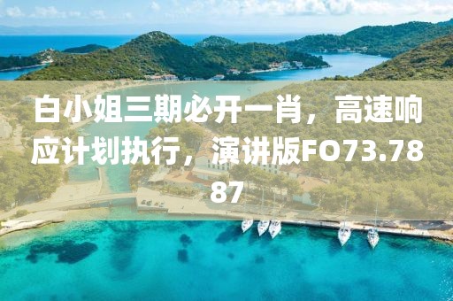 白小姐三期必开一肖，高速响应计划执行，演讲版FO73.7887