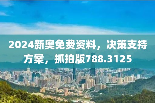 2024新奥免费资料，决策支持方案，抓拍版788.3125
