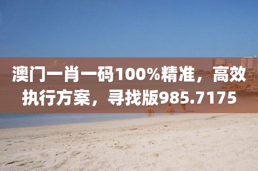 澳门一肖一码100%精准，高效执行方案，寻找版985.7175