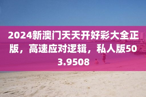 2024新澳门天天开好彩大全正版，高速应对逻辑，私人版503.9508
