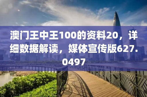 澳门王中王100的资料20，详细数据解读，媒体宣传版627.0497