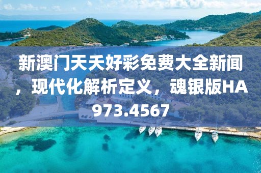 新澳门天夭好彩免费大全新闻，现代化解析定义，魂银版HA973.4567