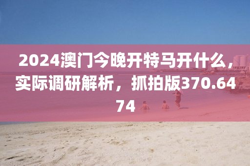 2024澳门今晚开特马开什么，实际调研解析，抓拍版370.6474