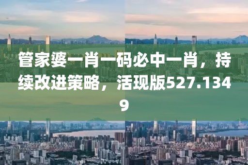 管家婆一肖一码必中一肖，持续改进策略，活现版527.1349