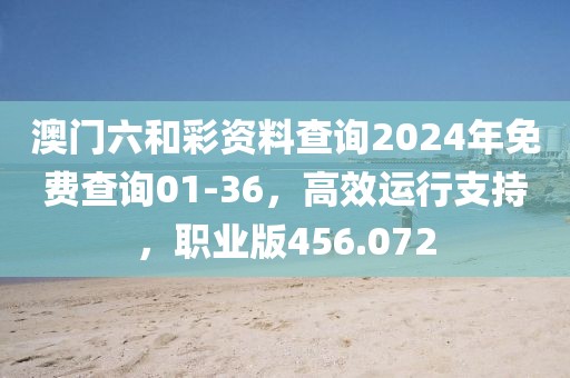 澳门六和彩资料查询2024年免费查询01-36，高效运行支持，职业版456.072