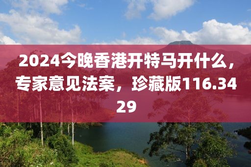 2024今晚香港开特马开什么，专家意见法案，珍藏版116.3429