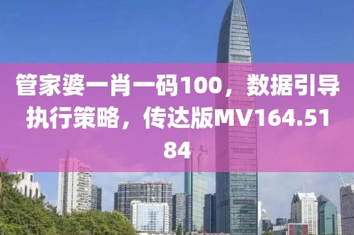 管家婆一肖一码100，数据引导执行策略，传达版MV164.5184