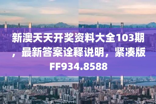 新澳天天开奖资料大全103期，最新答案诠释说明，紧凑版FF934.8588