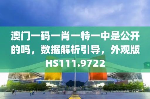 澳门一码一肖一特一中是公开的吗，数据解析引导，外观版HS111.9722