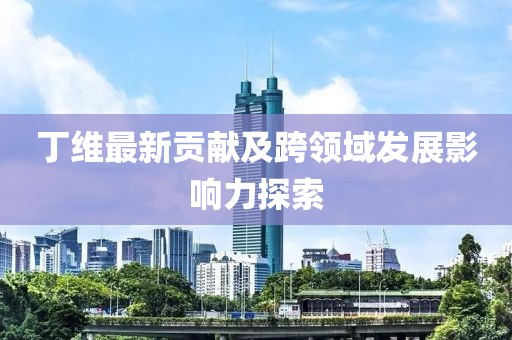 丁维最新贡献及跨领域发展影响力探索