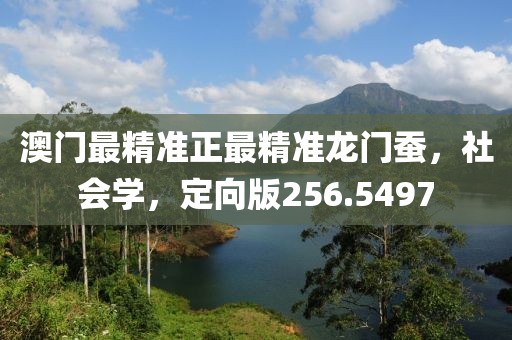 澳门最精准正最精准龙门蚕，社会学，定向版256.5497
