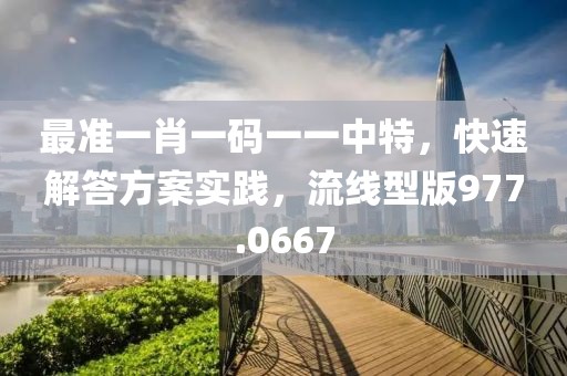 最准一肖一码一一中特，快速解答方案实践，流线型版977.0667
