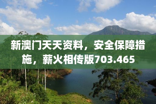 新澳门天天资料，安全保障措施，薪火相传版703.465