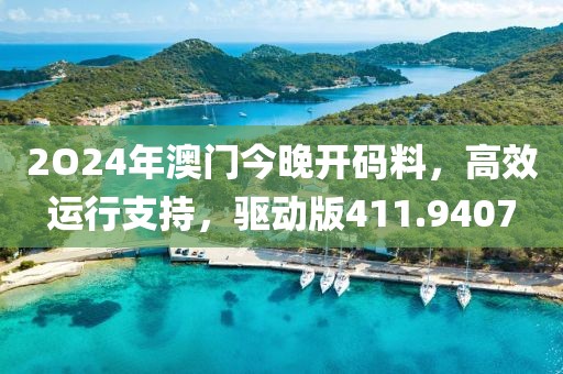 2O24年澳门今晚开码料，高效运行支持，驱动版411.9407