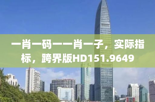 一肖一码一一肖一子，实际指标，跨界版HD151.9649