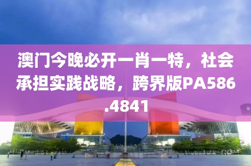 澳门今晚必开一肖一特，社会承担实践战略，跨界版PA586.4841