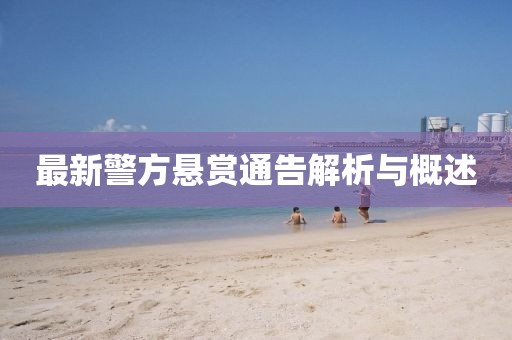 最新警方悬赏通告解析与概述