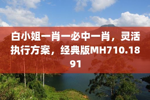白小姐一肖一必中一肖，灵活执行方案，经典版MH710.1891