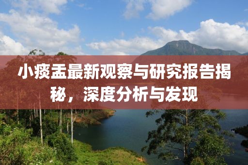 小痰盂最新观察与研究报告揭秘，深度分析与发现