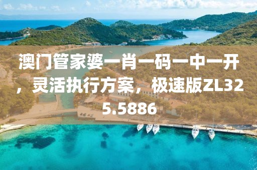 澳门管家婆一肖一码一中一开，灵活执行方案，极速版ZL325.5886