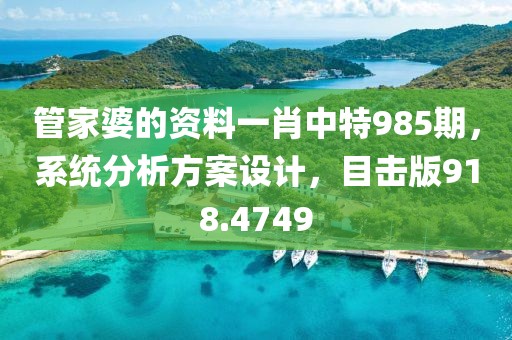 管家婆的资料一肖中特985期，系统分析方案设计，目击版918.4749
