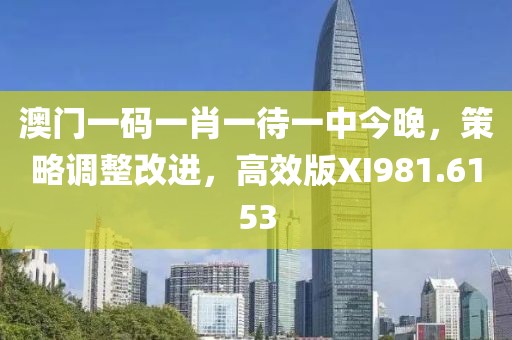 澳门一码一肖一待一中今晚，策略调整改进，高效版XI981.6153