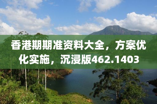 香港期期准资料大全，方案优化实施，沉浸版462.1403