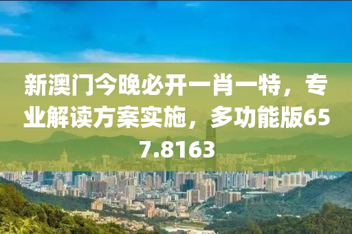 新澳门今晚必开一肖一特，专业解读方案实施，多功能版657.8163