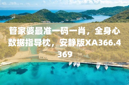 管家婆最准一码一肖，全身心数据指导枕，安静版XA366.4369