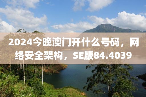 2024今晚澳门开什么号码，网络安全架构，SE版84.4039