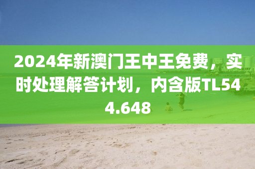 2024年新澳门王中王免费，实时处理解答计划，内含版TL544.648