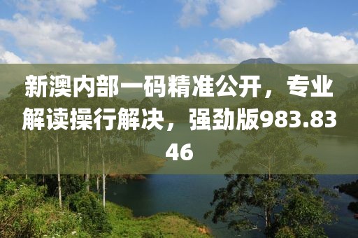 新澳内部一码精准公开，专业解读操行解决，强劲版983.8346