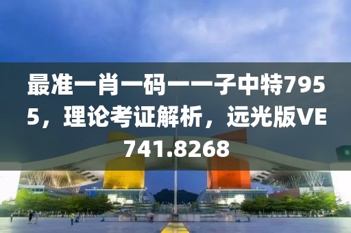 最准一肖一码一一子中特7955，理论考证解析，远光版VE741.8268