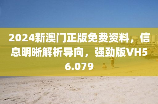 2024新澳门正版免费资料，信息明晰解析导向，强劲版VH56.079