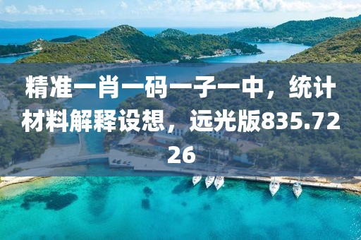 精准一肖一码一子一中，统计材料解释设想，远光版835.7226