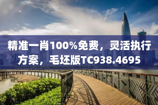 精准一肖100%免费，灵活执行方案，毛坯版TC938.4695