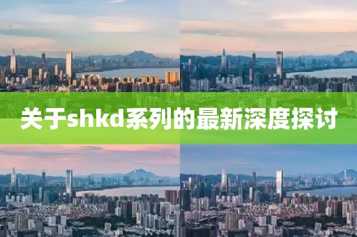 关于shkd系列的最新深度探讨