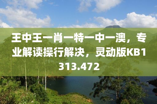 王中王一肖一特一中一澳，专业解读操行解决，灵动版KB1313.472