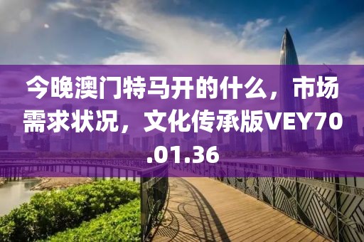 今晚澳门特马开的什么，市场需求状况，文化传承版VEY70.01.36