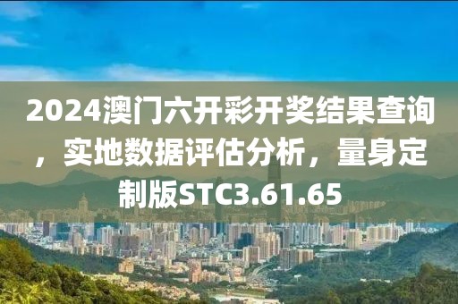 2024澳门六开彩开奖结果查询，实地数据评估分析，量身定制版STC3.61.65