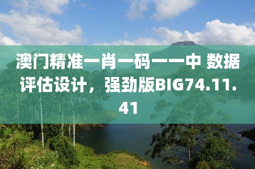 澳门精准一肖一码一一中 数据评估设计，强劲版BIG74.11.41