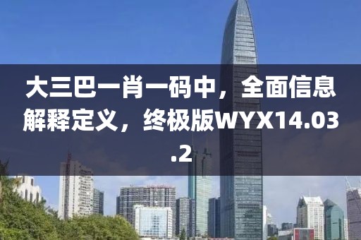 大三巴一肖一码中，全面信息解释定义，终极版WYX14.03.2