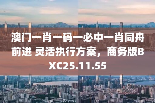 澳门一肖一码一必中一肖同舟前进 灵活执行方案，商务版BXC25.11.55
