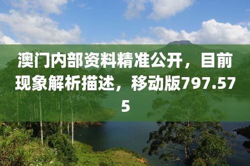 澳门内部资料精准公开，目前现象解析描述，移动版797.575
